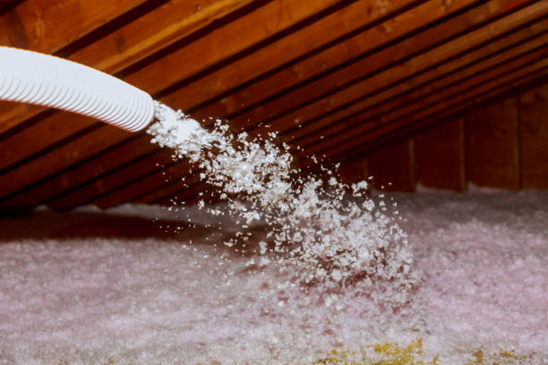 Best Wall Insulation Contractor  in Pumpkin Center, NC