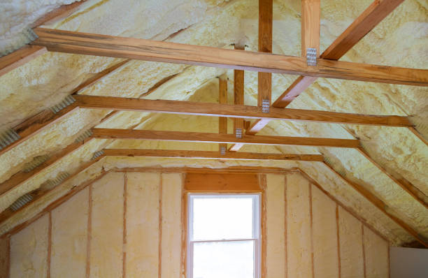 Best Home Insulation Services  in Pumpkin Center, NC