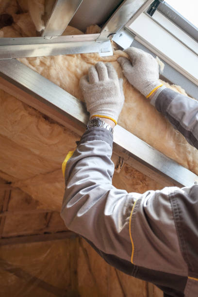 Best Insulation Removal  in Pumpkin Center, NC