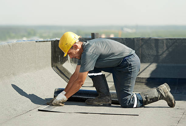 Best Insulation Removal Services  in Pumpkin Center, NC